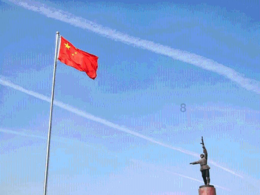 寻找奈良树花